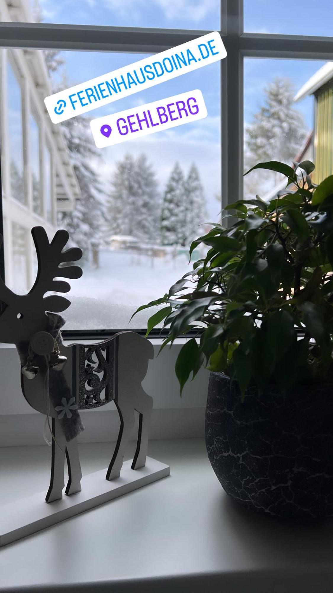 Doina Apartment *